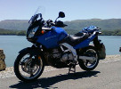 DL650